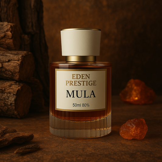 MULA / Ilham So Oud